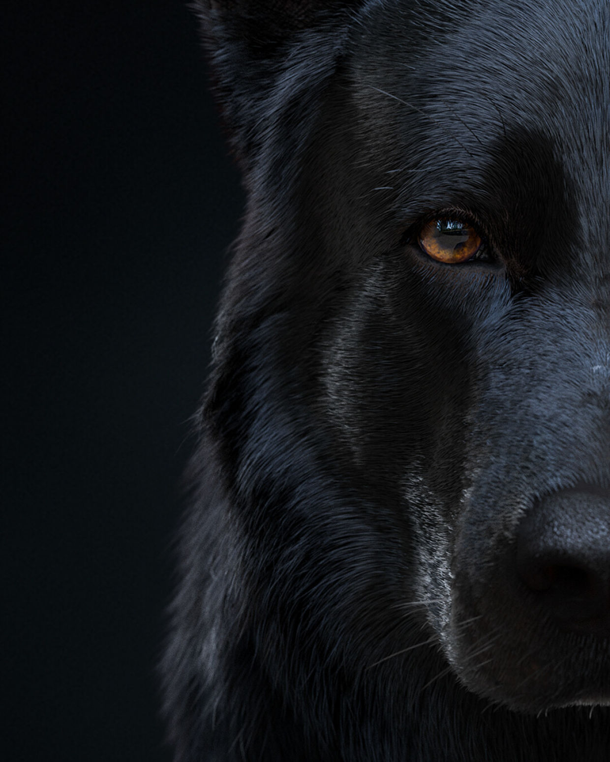 Realistic Dog Portrait: Experimenting with Real-Time Fur