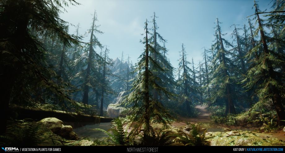 Pacific Northwest Forest: The Craft Of Realism