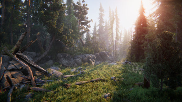 Top Environments for Unity