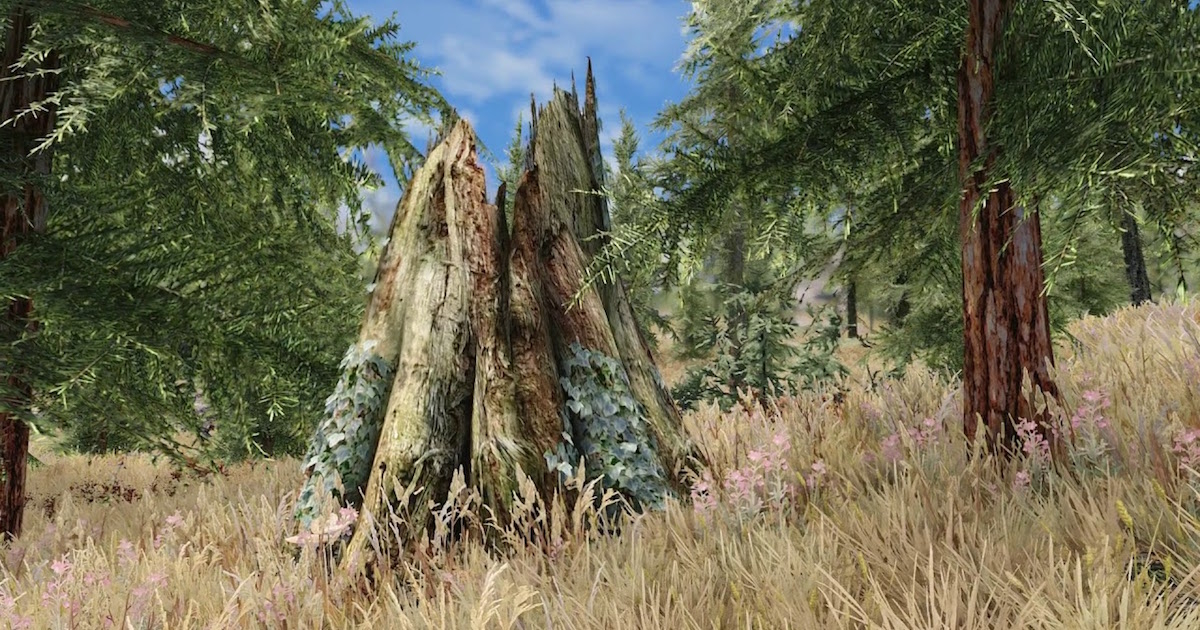 Skyrim Mod - Every Tree Different